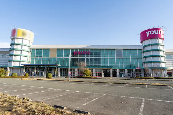 保険相談、保険見直し、保険比較を店舗で