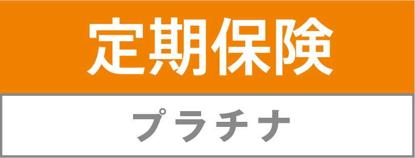 無解約払戻金型定期保険(Z03)[定期保険プラチナ]