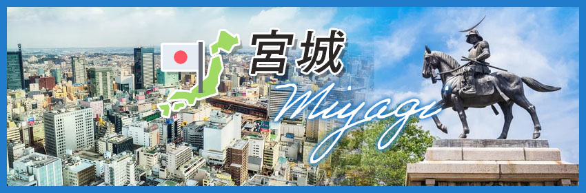 宮城県で保険を選ぶときに知っておきたい特徴