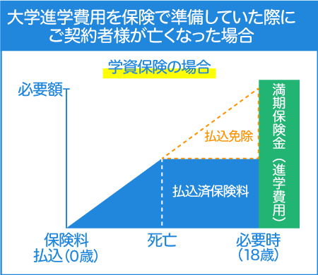 大学進学費用を保険で準備していた際にご契約者様が亡くなった場合