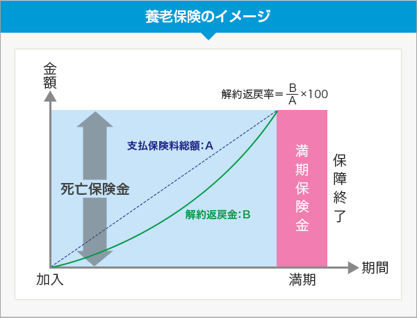 養老保険のイメージ