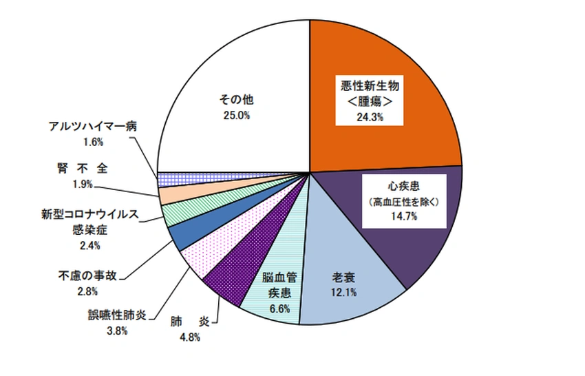 厚生労働省による国内死因の統計データ